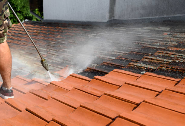 Best Best Pressure Washing Companies  in Sisco Heights, WA
