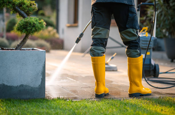 Best Pressure Washing Company Near Me  in Sisco Heights, WA